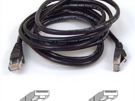 RJ45 CAT-5e Patch Cable 0.5 blBelkin Online Hot Sale